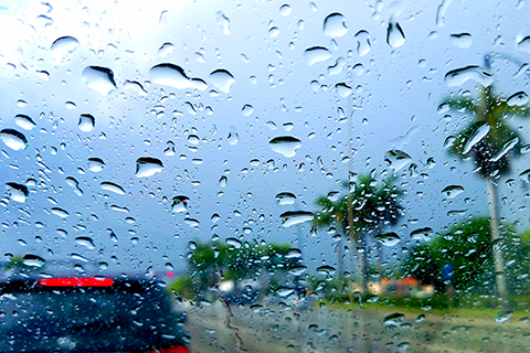 This is a stock photo from Shutterstock. The image is focused on the raindrop which have fallen on a car window. In the blurred background there are palm trees and a dark sky indicating a storm.