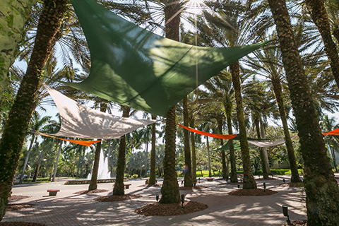 This is a courtyard area on the University of Miami Coral Gables campus. The courtyard has several palm trees with various green, orange, and white canopies suspended between them.